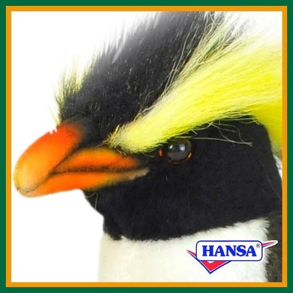 HANSA nT ʂ 7120 CgryM ؂񂬂 A 