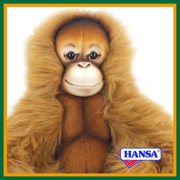 HANSA nT ʂ 7145 IE[^  T A 