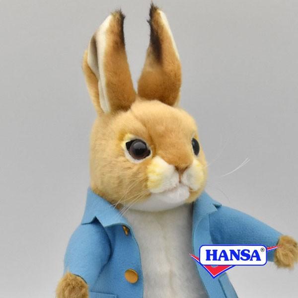 hansa rabbit