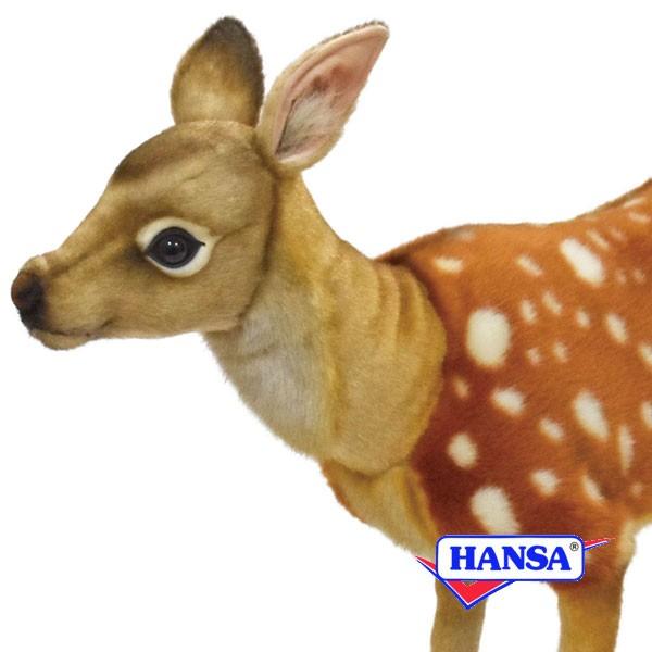 HANSA nT ʂ 7803 jzWJ  VJ A 