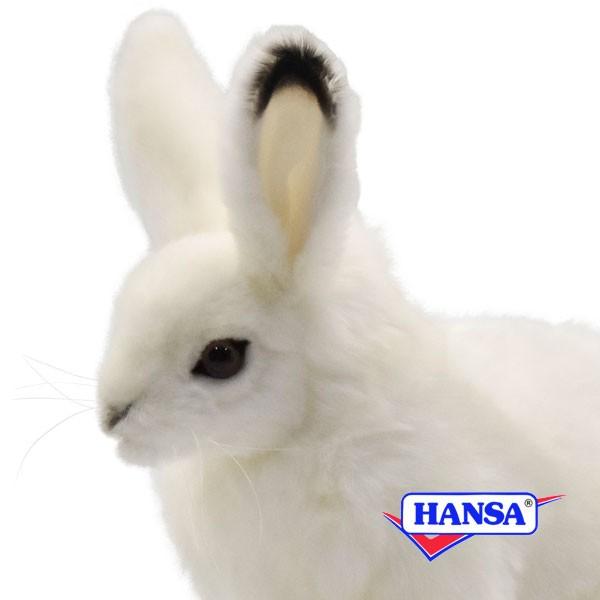 Hansa ハンサ ぬいぐるみ 7851 ホッキョクウサギ Arctic Hare Ca Bh7851 ソプラノyahoo 店 通販 Yahoo ショッピング