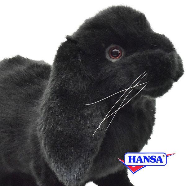 HANSA nT ʂ 8142 z[hbv ubN e ETM  A 