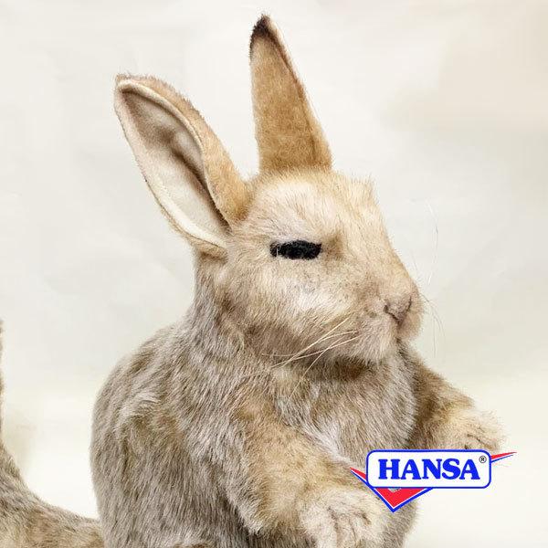 HANSA nT ʂ 8144 rXJb` AfXETM A 