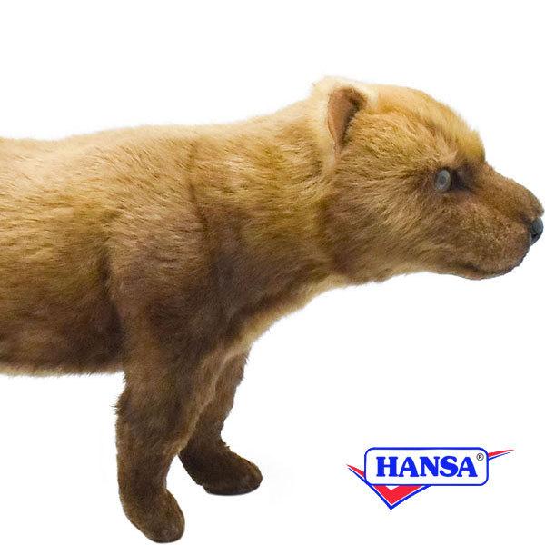 HANSA nT ʂ 8146 uCk  Ck A 