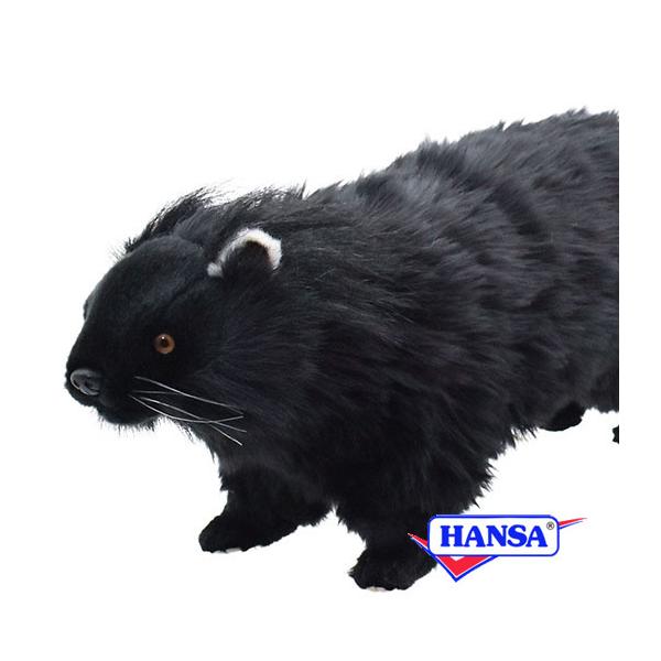 HANSA nT ʂ 8147 rgO  Ck A 