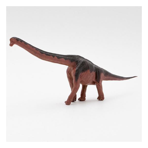 tFobg tBMA _Ci\[ \tgf uLITEX