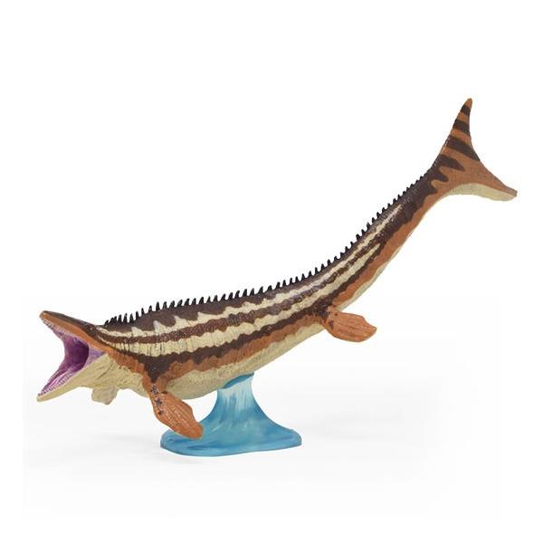 tFobg tBMA _Ci\[ \tgf TTEX