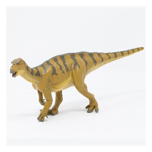 tFobg tBMA _Ci\[ \tgf COAmh