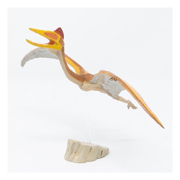 tFobg tBMA _Ci\[ \tgf Pc@RAgX