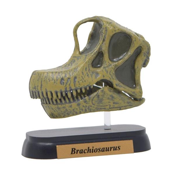 tFobg tBMA ~jf uLITEX XJ