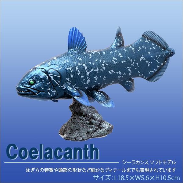 ポイント10倍 期間限定 フェバリット 古代魚フィギュア エンシェントフィッシュ ソフトモデル シーラカンス