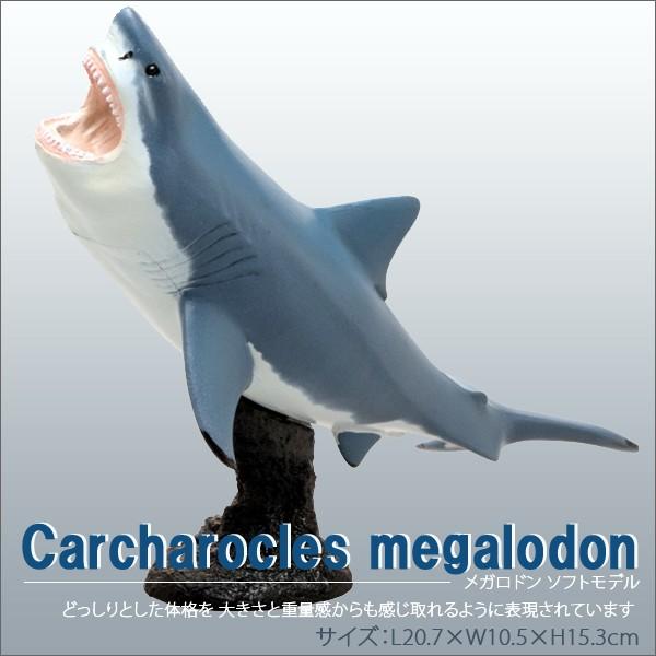 tFobg ÐtBMA vqXgbNCt \tgf Kh