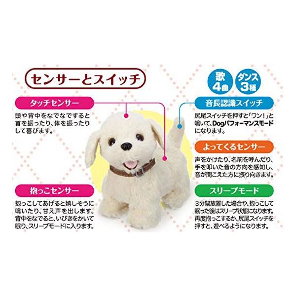 イワヤ おいで おいで よってくる 部屋ともワンちゃんレトリバー Buyee Buyee 提供一站式最全面最專業現地yahoo Japan拍賣代bid代拍代購服務 Bot Online