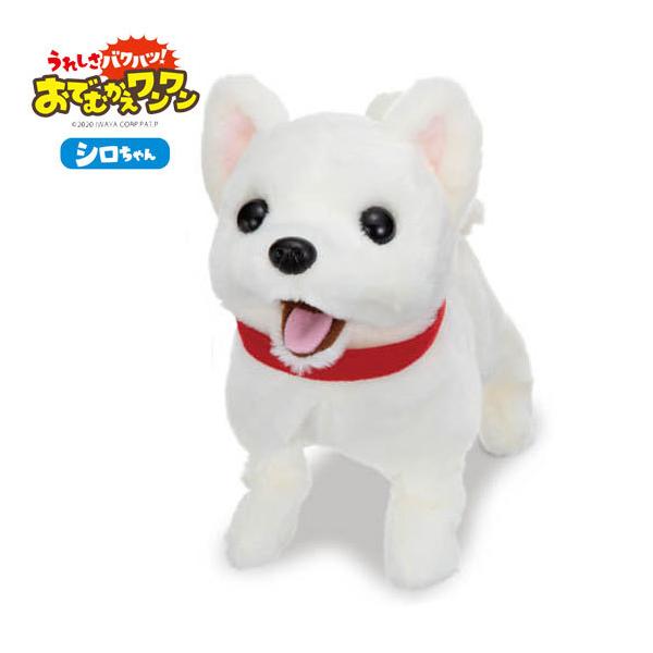 C  ꂵoNnc łނ V d ʂ