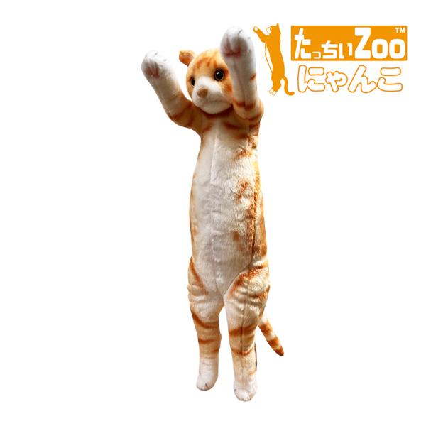 たっちぃZoo にゃんこ アメリカンショートヘアー 猫のぬいぐるみ