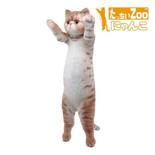 たっちぃZoo にゃんこ エキゾチック 猫のぬいぐるみ : ソプラノ たっちぃZoo にゃんこ エキゾチック 猫のぬいぐるみ : ソプラノ