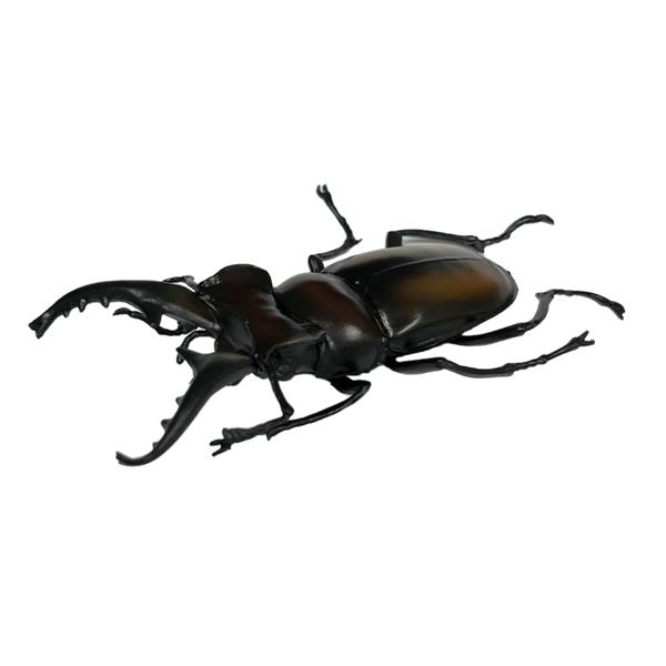ミュージアム 昆虫フィギュア ミヤマクワガタ くわがた