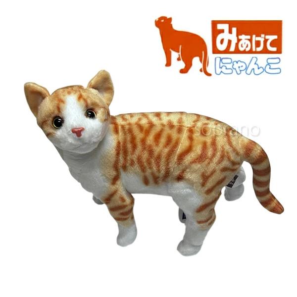 みあげてにゃんこ アメリカンショートヘアー 猫のぬいぐるみ