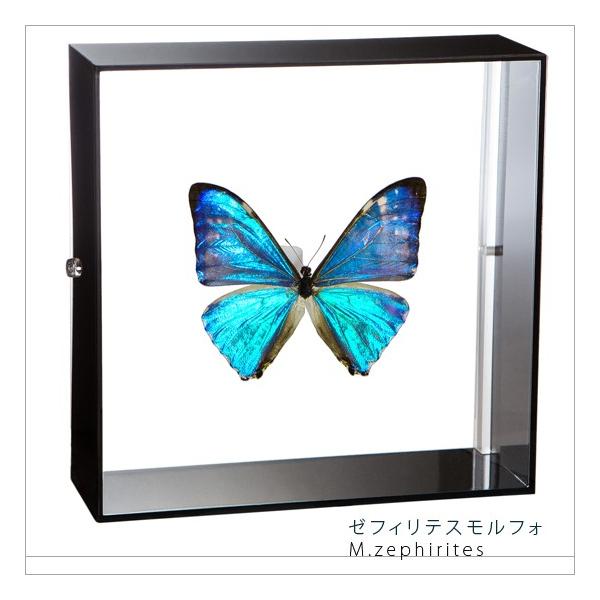 W{ ̕W{ [tBeXtH ANt[ 