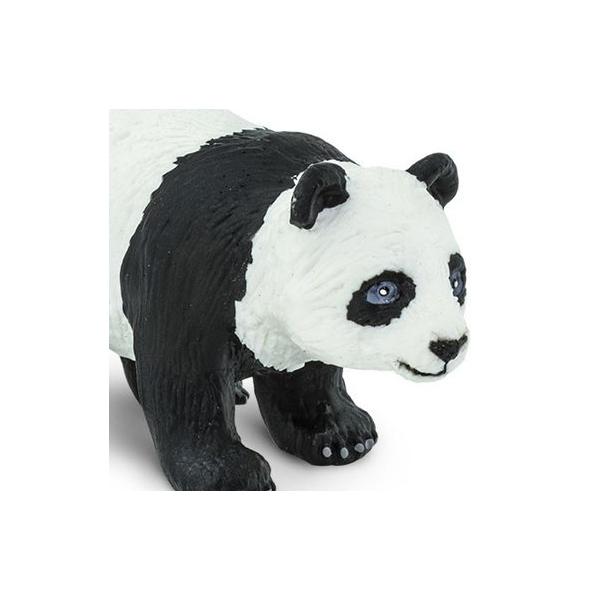 Tt@ЃtBMA 272429 WCAgp_ e