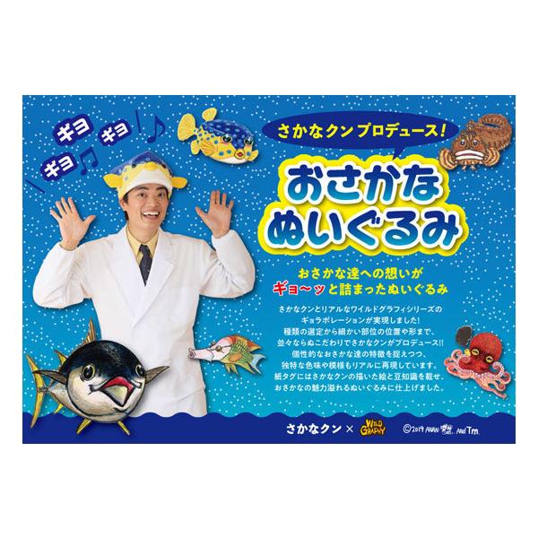 さかなクン おさかなぬいぐるみ ヒラメ Wild Graphy ワイルドグラフィ Buyee 日本代购平台 产品购物网站大全 Buyee一站式代购 Bot Online