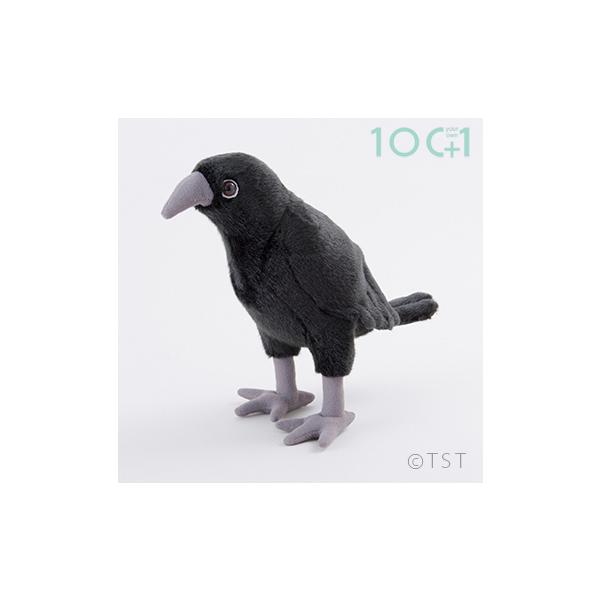 ぬいぐるみ101 カラス Tst Sm237 ソプラノyahoo 店 通販 Yahoo ショッピング