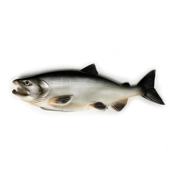 鮭わさび フジワラ 鮭勝45g【新色】#銀粉レインボー | Fishing Tackle