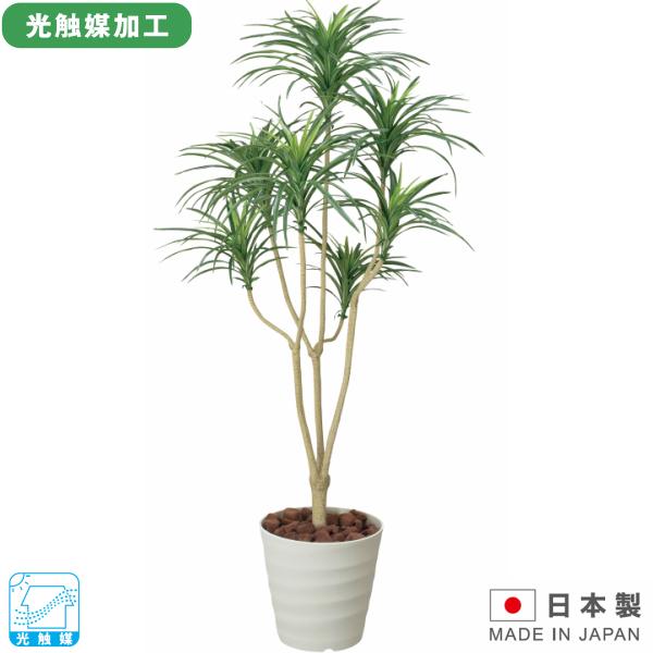 フロア ユッカ1.6 光触媒 オフィスグリーン W650×D600×H1600 人工植物 