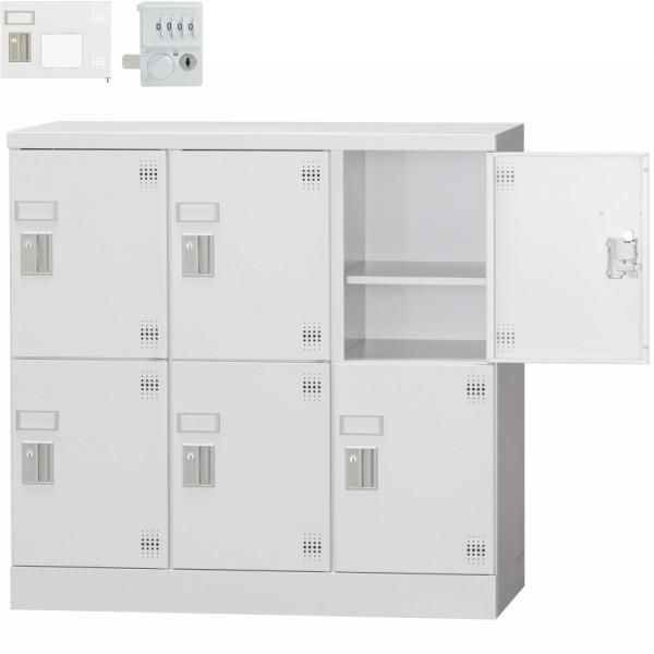 bJ[ 6lp GLK-D6DSW t X`[ ItBXƋ X`[bJ[ X߃bJ[ O[w@Ki { ԏn