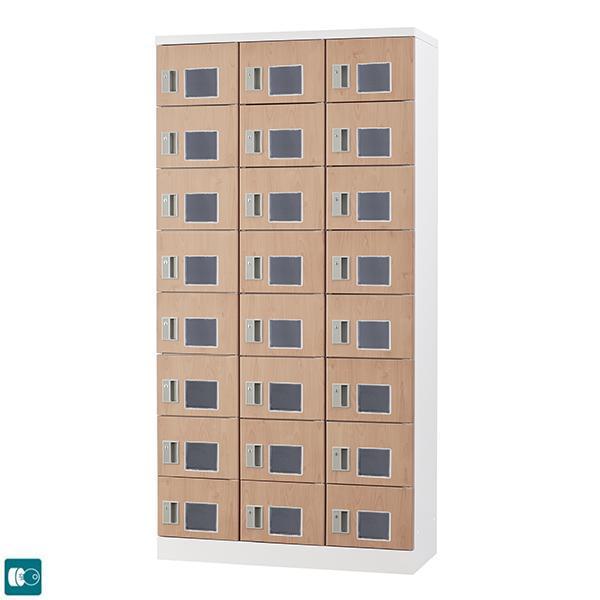 ؖڕ 24lp X^_[hbJ[ ^ t t 24lp^Cv  38i GLK-N24TW-NT bJ[  X`[ 󒍐Yi