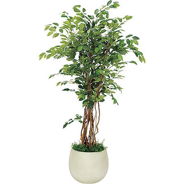 ItBXO[ tBJXxW~ W1000 ×H1900×D1000 {bNXv^[ lHϗtA tFCN ItBX O[  GR5006 xN @ll