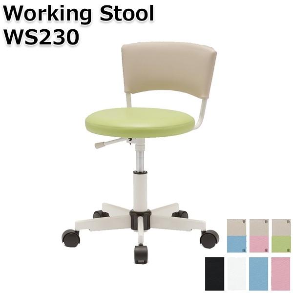 [LOXc[ [LO`FA w [N Xc[ ֎q oփLX^[ ubN a@ @  { C    mH| WS230