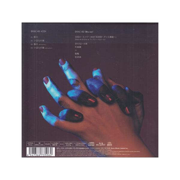 sora3_4547366735062_2_d_20251104155240