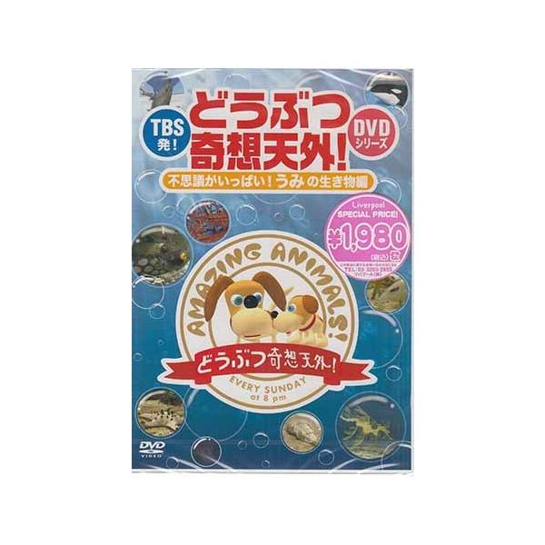 TBS発！「どうぶつ奇想天外！」DVDシリーズ 不思議がいっぱい！うみの生き物編/(バラエティ)