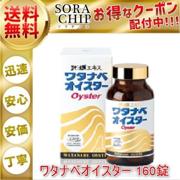 sorachip_1119-000801 sorachip_1119-000801