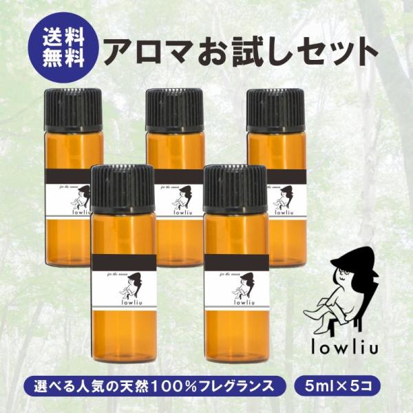 アロマオイル サウナ 精油 香り 消臭 アロマオイルポット ロウリュ 専用オイル 5ml×5本 選べる 10種 アウフグース lowliu