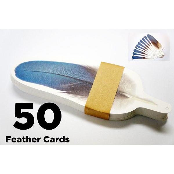 H̃TL[J[h@bZ[WJ[h@50