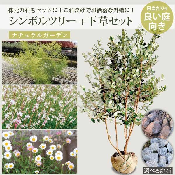 シンボルツリー・下草・庭石の3点セット］これだけでお庭が完成 
