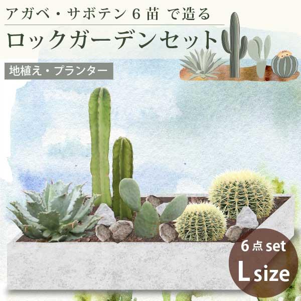 アガベ・サボテンで造るロックガーデンセット 6品種 ［Lサイズ