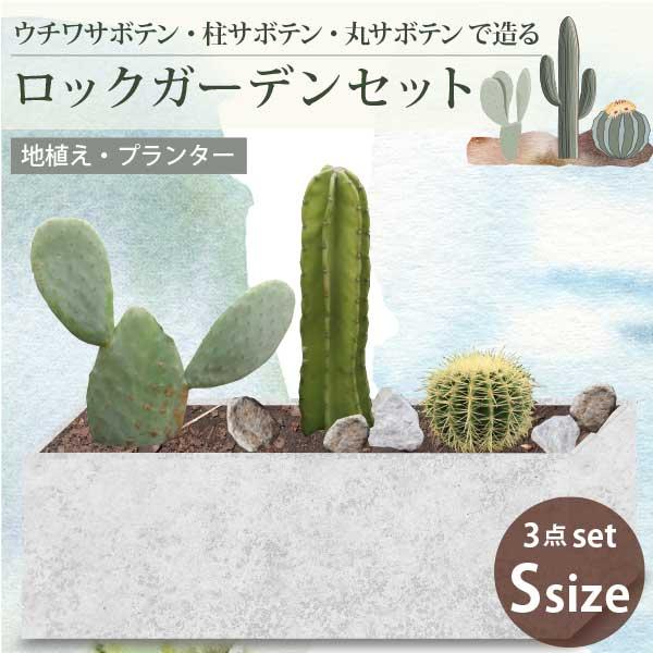 サボテンで造るロックガーデンセット 3品種 ［Sサイズ］ プランター 地