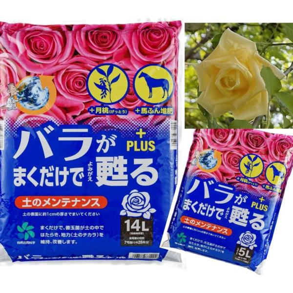 まくだけシリーズのバラ専用、土壌改良用土です。1.有効微生物の働きにより古い土を甦らせ、再び栽培に適した土にします。2.樹皮等の植物有機が原料なので臭いが少なく室内やベランダでも安心です。3.殺菌や虫除け効果があるといわれている「月桃」を配...