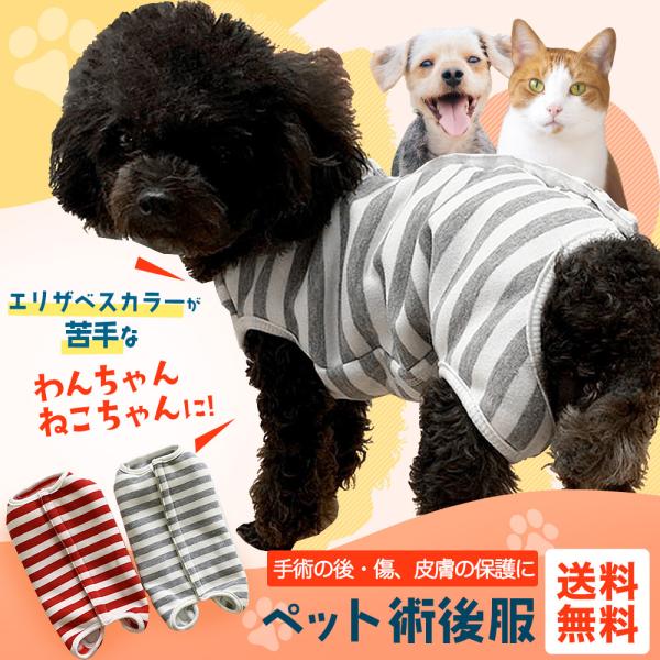 ペット 術後服 術後着  猫 犬 エリザベスカラー 手術 避妊 ウエア 保温 予防 皮膚病 保護服 傷口保護 皮膚 保護 かわいい 小型犬