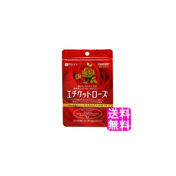 L ̏L jIC t@C G`Pbg[Y  |Cg