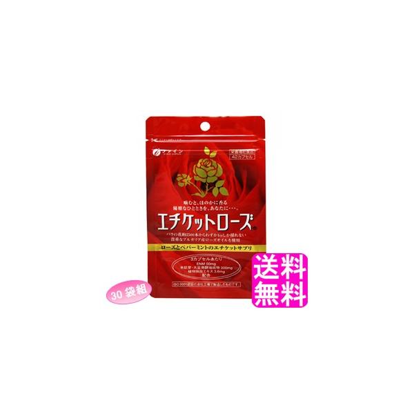 L ̏L jIC t@C G`Pbg[Y y30ܑgz  |Cg