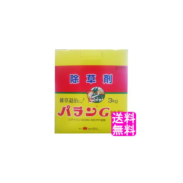  G _knp yʌz pG  3kg  |Cg