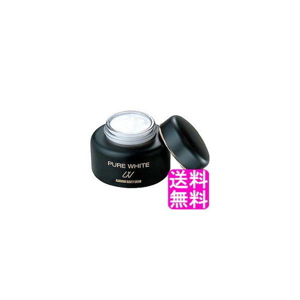 GCWOPA iCgN[ ێ A`[ sAzCg r[eBN[  |Cg