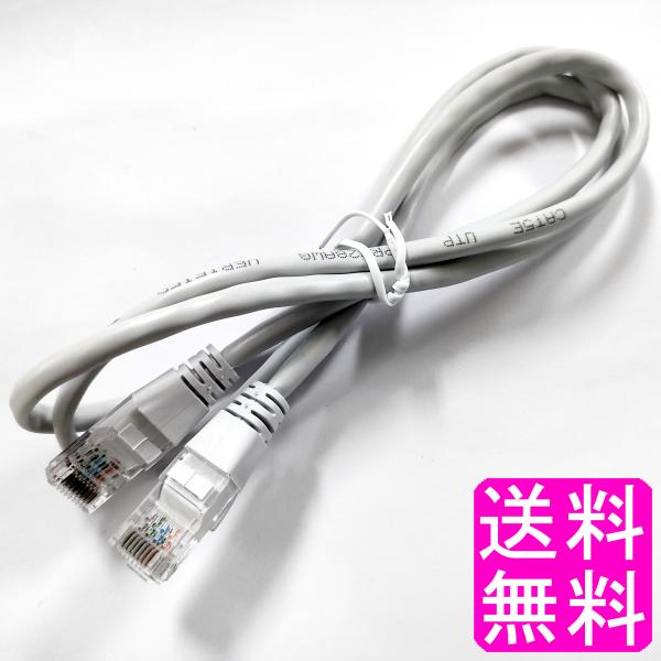 ポイント消化 送料無料 300円 【数量限定】 LANケーブル ネットワークカメラ 初期設定 防犯カメラ GRAY