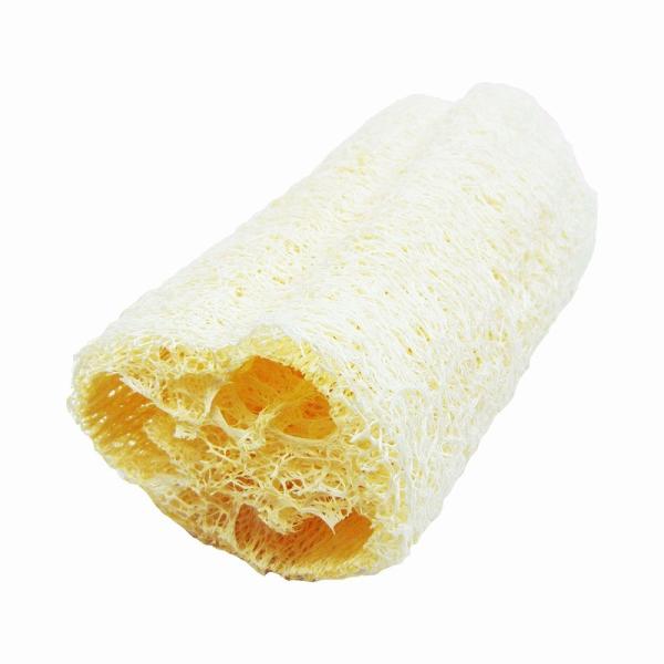 ̑i mxeB ObY@VRւ܃{fBEX|W