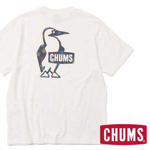 落ち着いた クランプ カテナ ロゴ Chums Fuzzynews Net