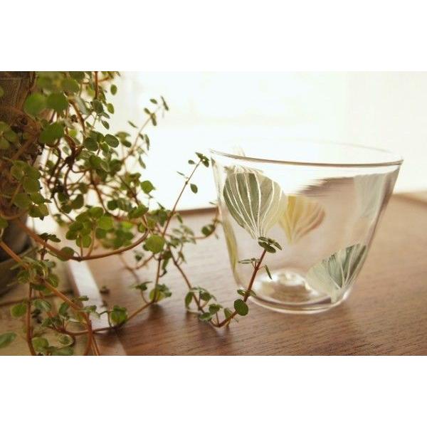 KX t[Jbv OX fU[gJbv L RIq 